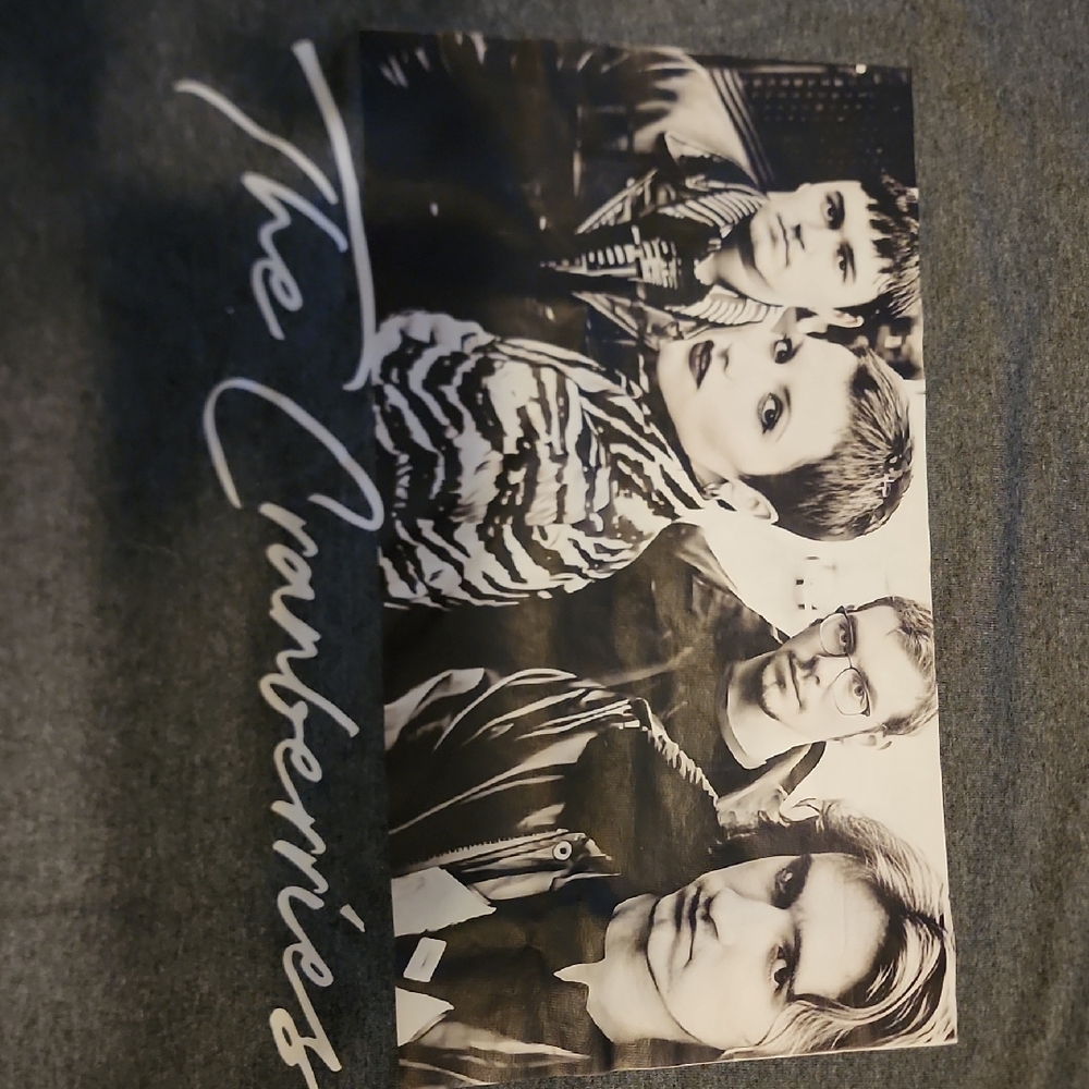 Gildan Cranberries Gray Short Sleeve Tee with Band Graphic - Picture 3 of 4